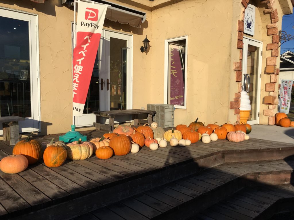 青森県三沢市の地元の道の駅や、お店では沢山のかぼちゃを飾っています！　もうすぐハロウィン！